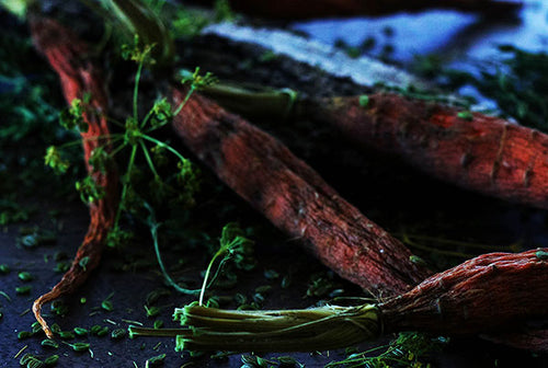 Carrot Seed
