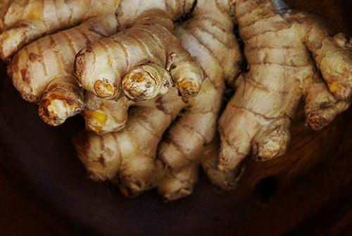Ginger