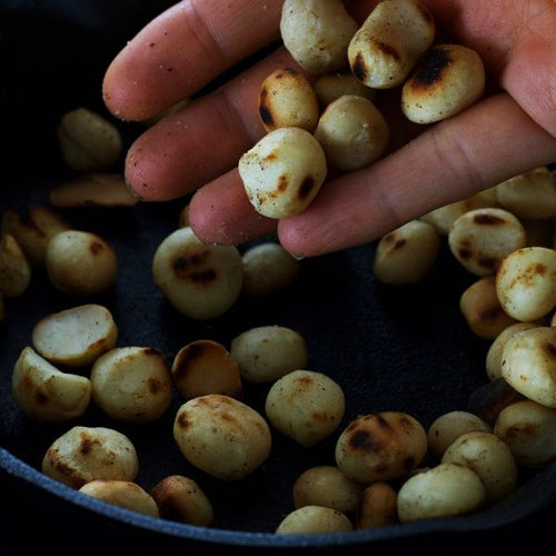 Macadamia