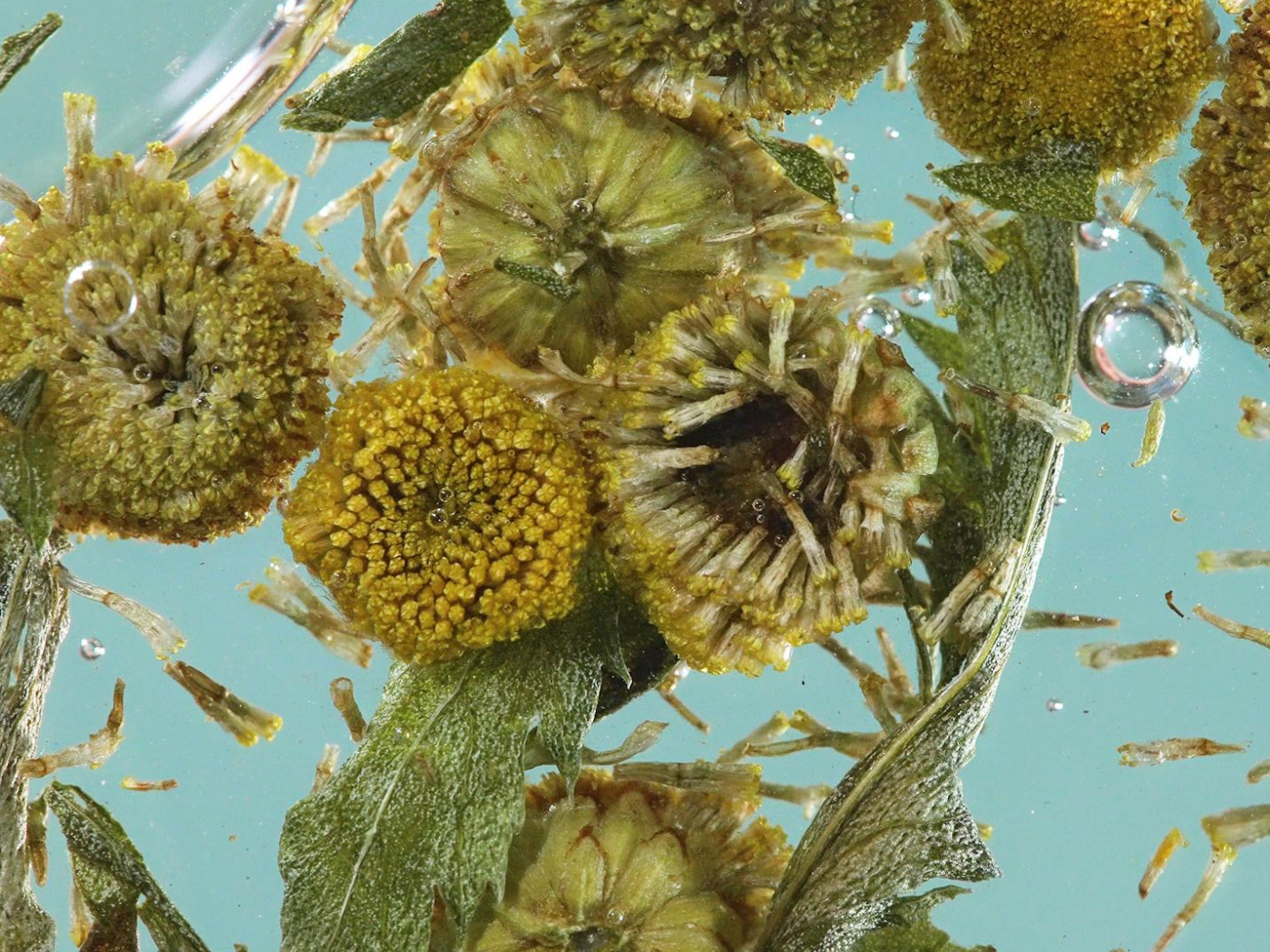 May Lindstrom Skin - Ingredients