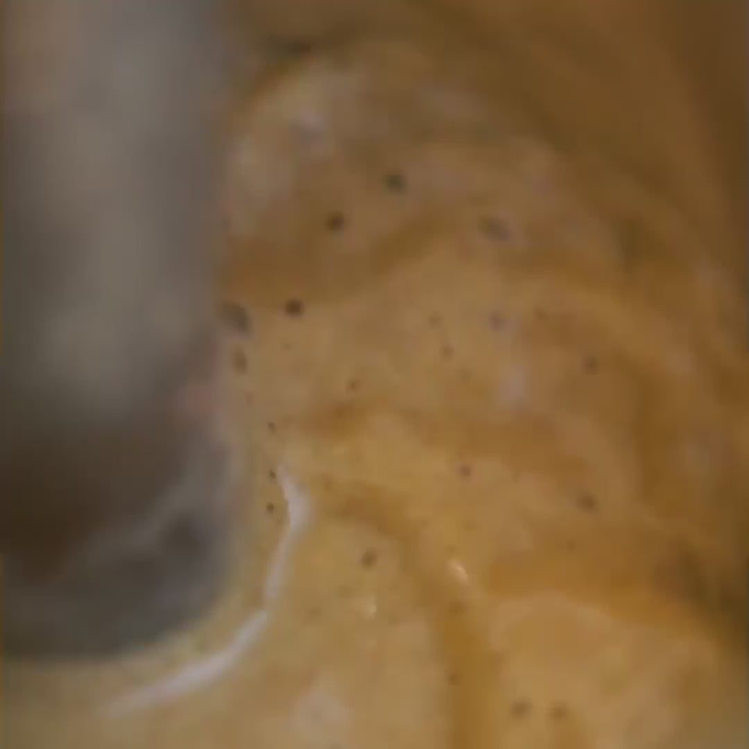 jasmine garden feature video