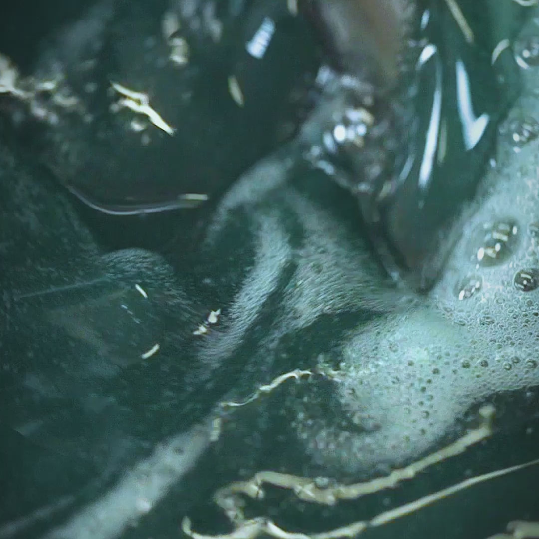 happy galaxy feature video