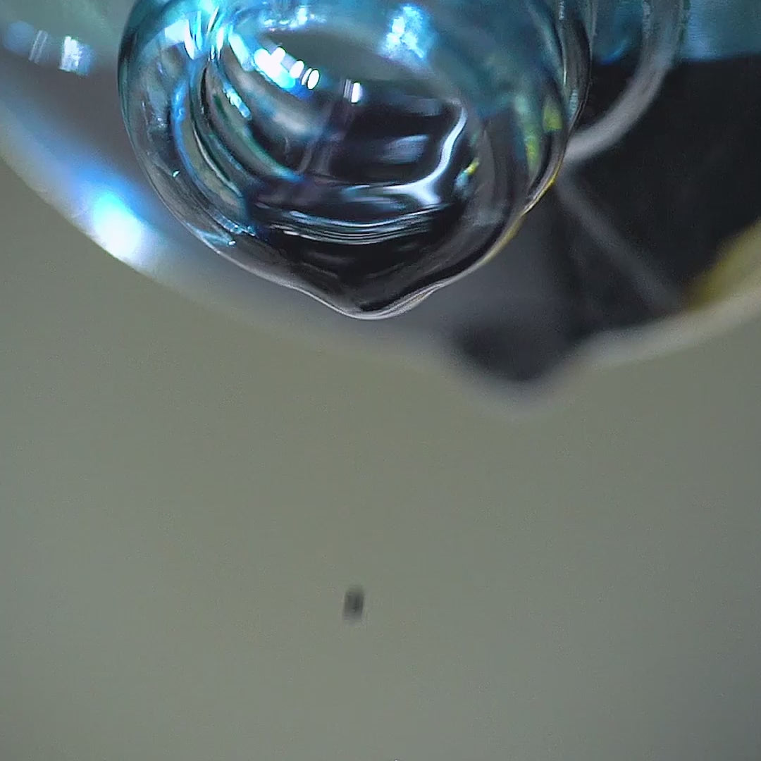 blue cocoon feature video