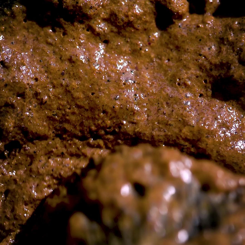 video of product and ingredients