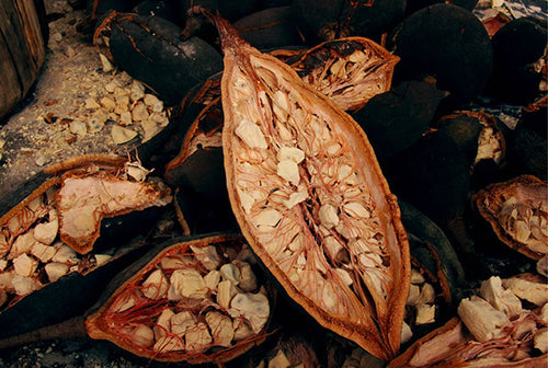 Baobab